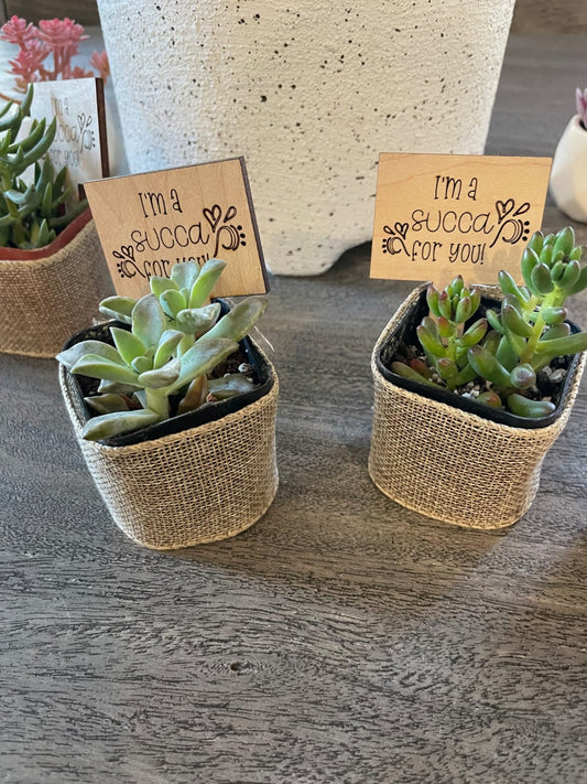 Personalized Succulent Gift Tags – “I’m a Succa for You!”
